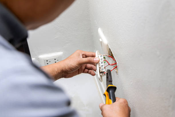 Best Ceiling Fan Installation Electrician  in Shepherd, TX